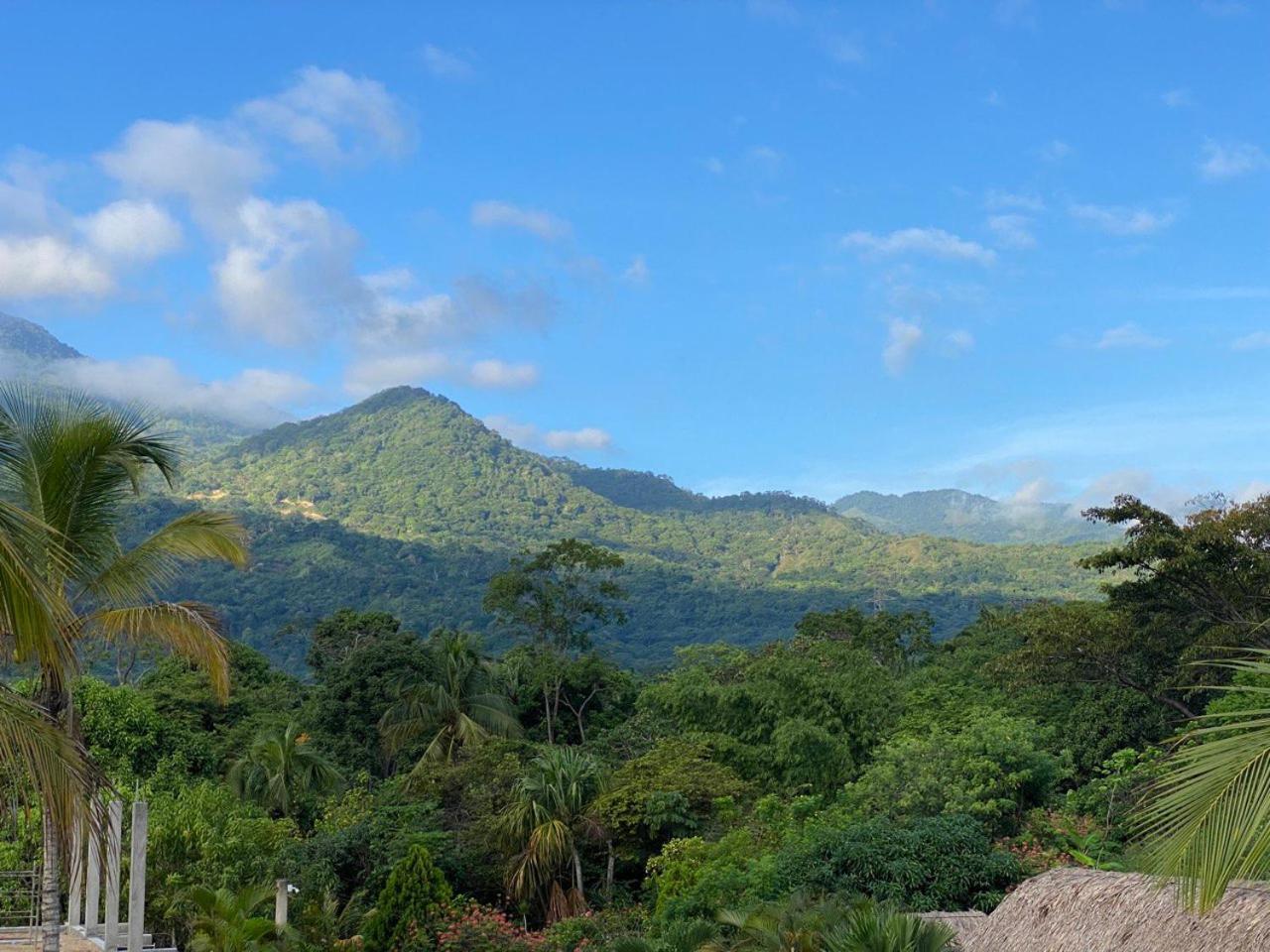 Hostal Recuerdos Del Tayrona เอลไซโน ภายนอก รูปภาพ