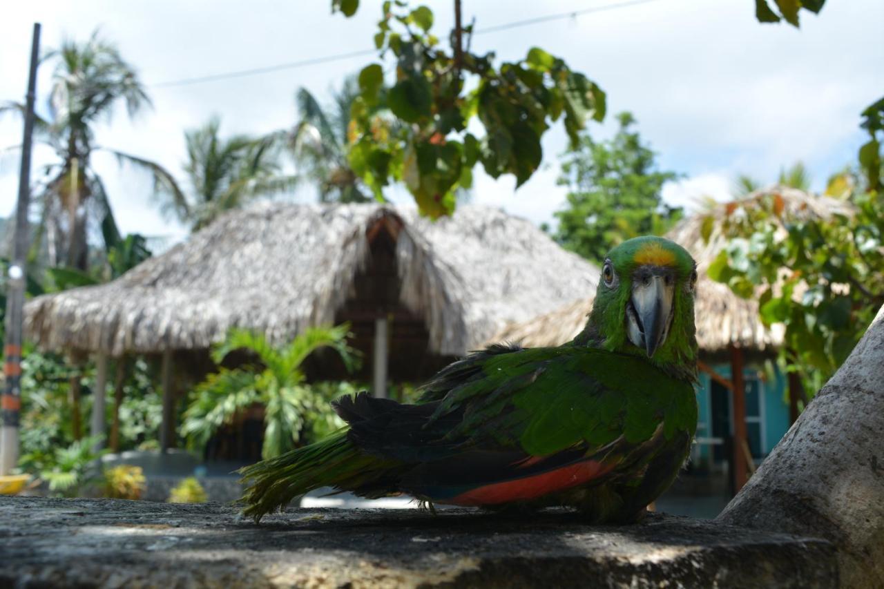 Hostal Recuerdos Del Tayrona เอลไซโน ภายนอก รูปภาพ